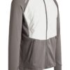 grey-white
