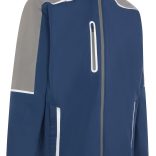 light-grey-insignia-blue