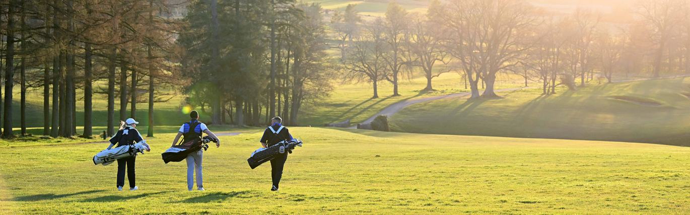 A group of three golfers on the golf course, walking away from the camera, golf bags over their shoulders